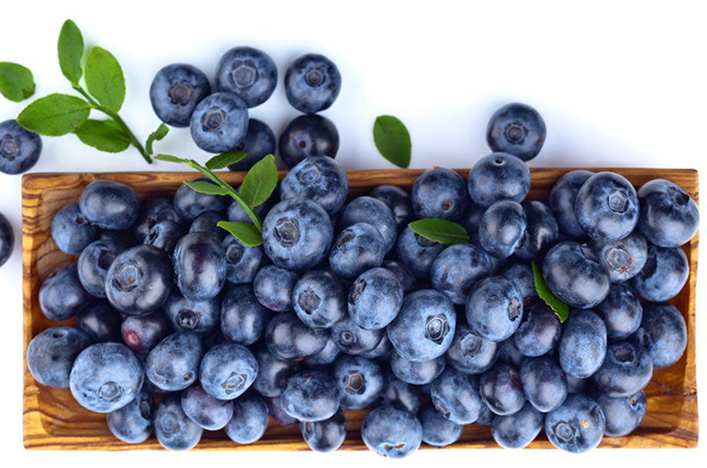 陕西昂煦生物科技有限公司告诉你阳台上能种蓝莓吗?    