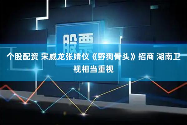 个股配资 宋威龙张婧仪《野狗骨头》招商 湖南卫视相当重视