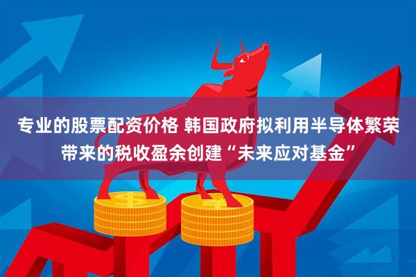 专业的股票配资价格 韩国政府拟利用半导体繁荣带来的税收盈余创建“未来应对基金”